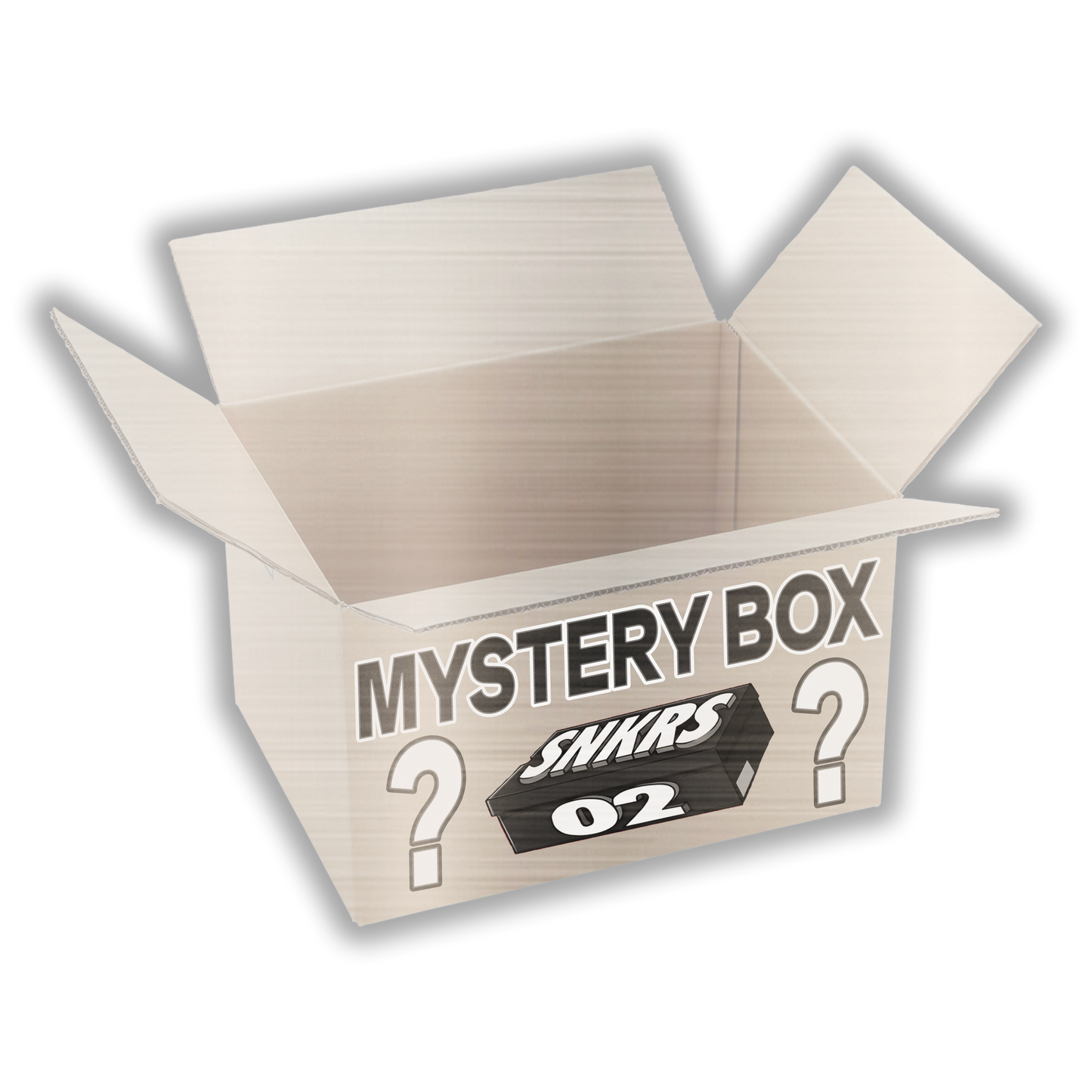 Silver Mystery Box