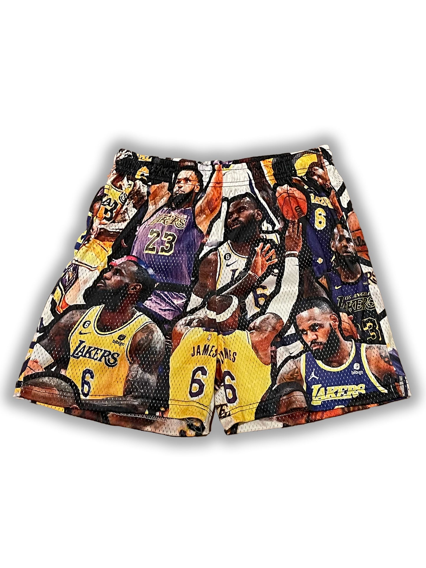 SNKRS02 LeBron James Mesh Shorts